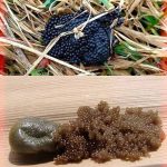 Enhancing Your Garden: 7 Natural Items That Enrich Soil for Free
