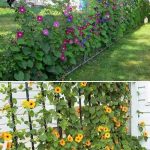 Baking Soda Is A Gardener’s Best Friend – Here Are 14 Nifty Uses In The Garden