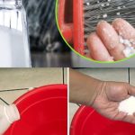 Keeping Tangerines Fresh for a Year: A Simple Guide