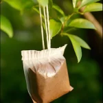 It grows everywhere, but most people don’t know its name or its importance in the world