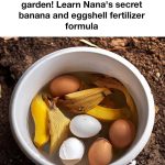 It grows everywhere, but most people don’t know its name or its importance in the world