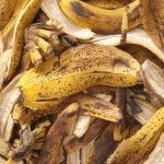 Optimizing Your Potato Harvest: The Art of Cutting Potatoes Before Planting