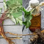 Harness the Power of Garlic: A Natural Bug Spray Solution