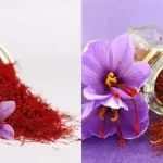 Yarroway: The Herb That Can Save the Day