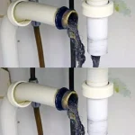 How to Get a Snake Plant to Flower