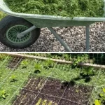 How To Make Free Liquid Fertilizer From Almost Anything with this Ancient Method