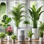 Why Does Mildew Grow on Silicone?