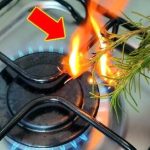 Get Rid of That Nasty Old Grease Stuck to Your Pots With This Effective Trick