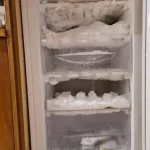 Put this for 1 hour in your house, you will never see flies, mosquitoes or cockroaches again.