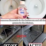 Unbelievable Uses of Shaving Foam: Why You Should Start Using It Today