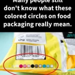 Creative Ways to Use Expired Yogurt: Don’t Toss It Out!