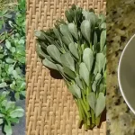 An Italian Grandmother Showed Me This Old Recipe! The Most Delicious Dinner!