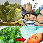 The Miracle Drink That Helps Prevent Prostate Cancer, Control Diabetes, and Improve Circulation