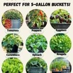 Complete Guide to 3 Simple Ways to Propagate Sansevieria Successfully