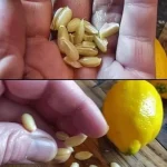 20 Top Gardening Hacks of All Time