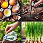 The Secret Ingredient to Add to Plants and Make Them Bloom Fast