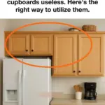 Eek!