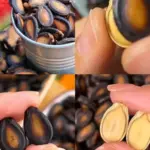 Mix Coffee with Toothpaste! A Viral Trick Everyone’s Talking About